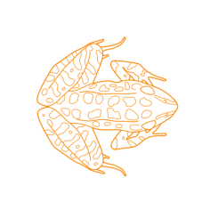 Animals Frogs Pickerel Frog Vinyl Svg File, Free Vectors File